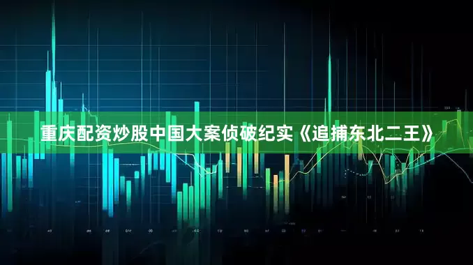重庆配资炒股中国大案侦破纪实《追捕东北二王》
